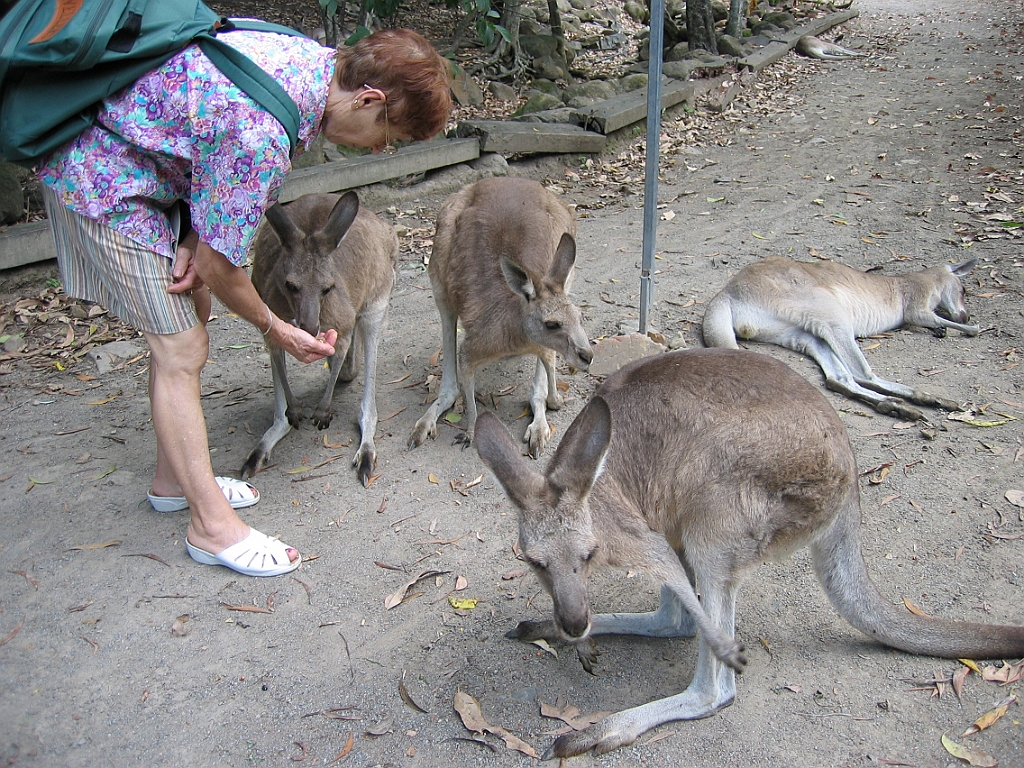 057 Cairns Tropical Zoo.jpg